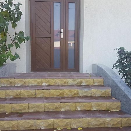 Casa Soarelui Apartment Roşu Exterior foto