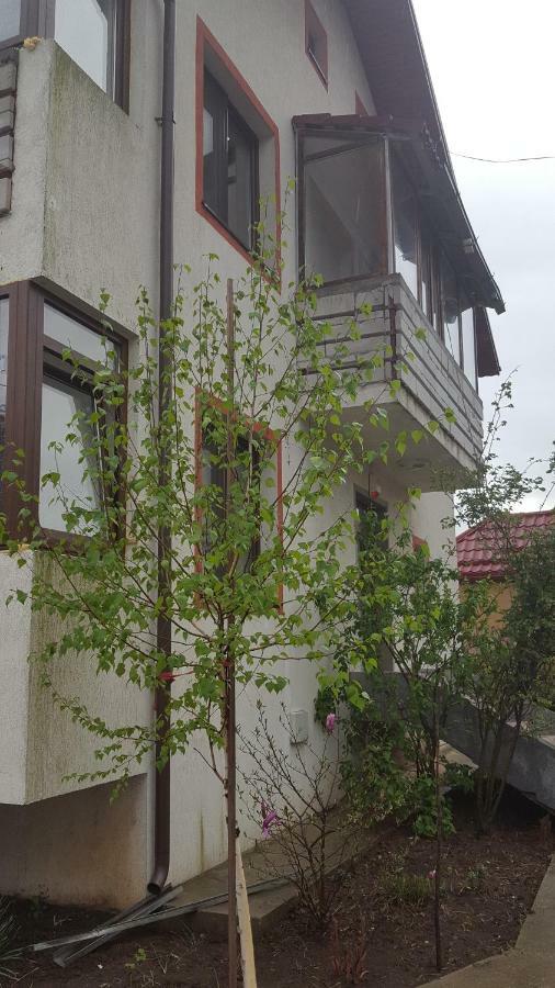 Casa Soarelui Apartment Roşu Exterior foto