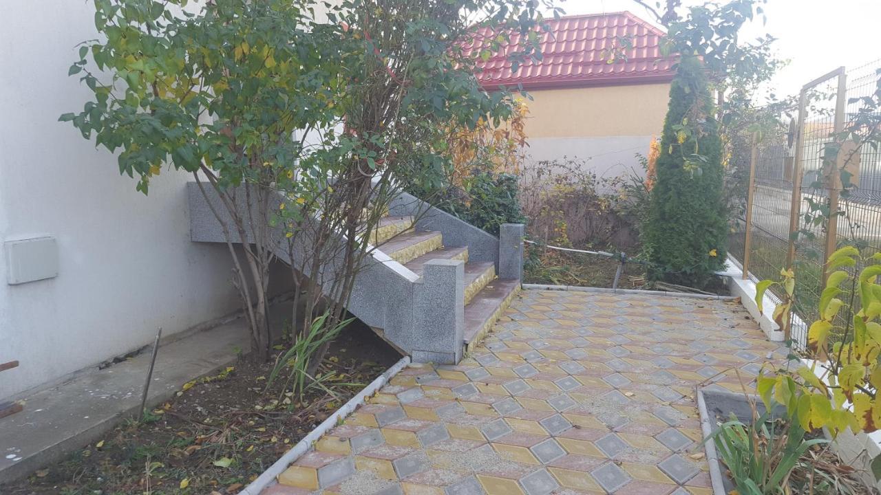 Casa Soarelui Apartment Roşu Exterior foto